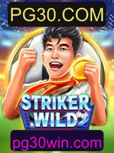 Explorando StrikerWILD: O Jogo Que Está Revolucionando a PG30.COM